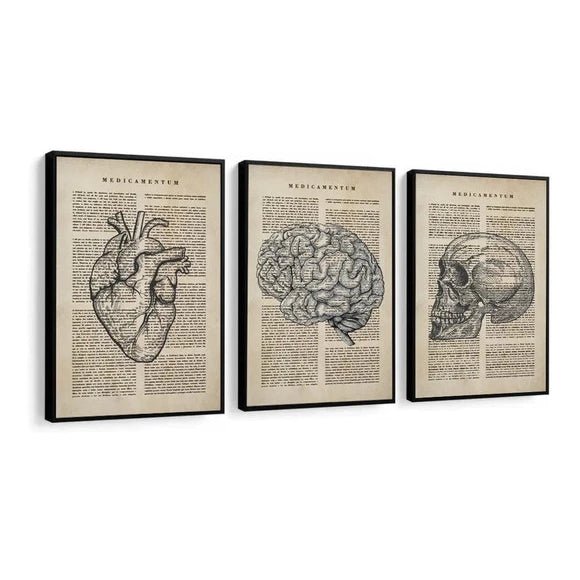 Kit 3 Quadros Decorativos Medicina – Coração, Cérebro e Mosaico Anatômico 95x50cm