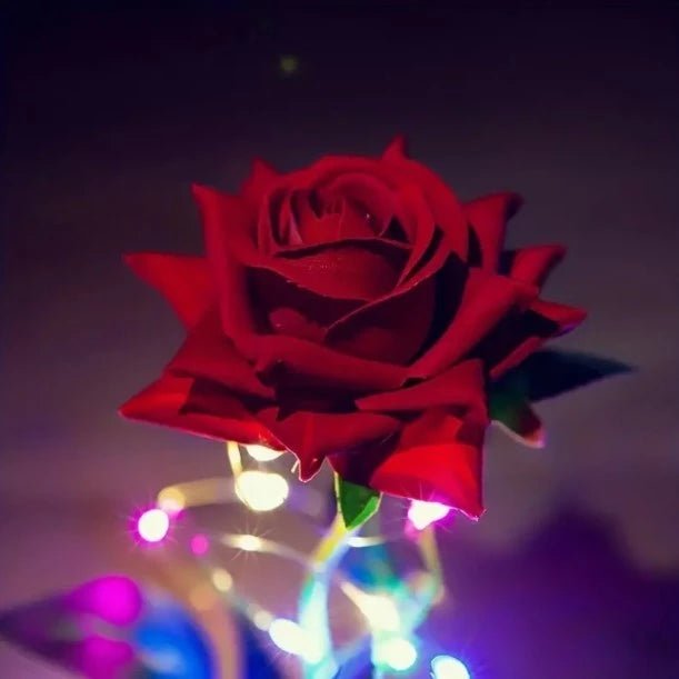 Rosa Encantada com LED – Luminária A Bela e a Fera