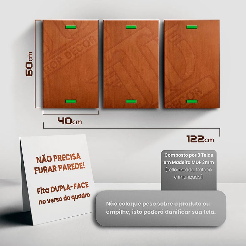 Kit 3 Quadros Decorativos Motivacionais – Leão, Foco e Disciplina em MDF 122x60cm